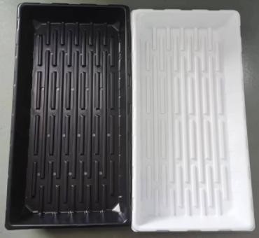 product-370-340 product-370-340
